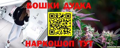 сатива Заводоуковск